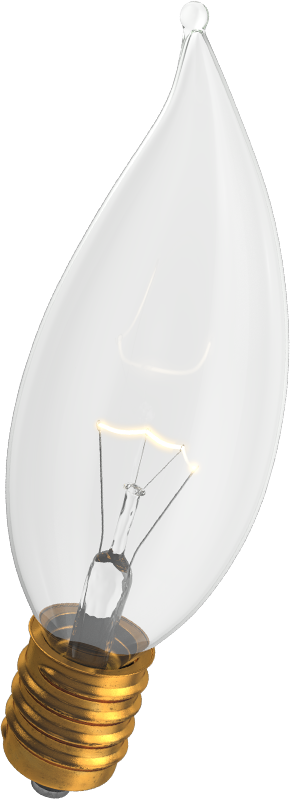 Bulb
